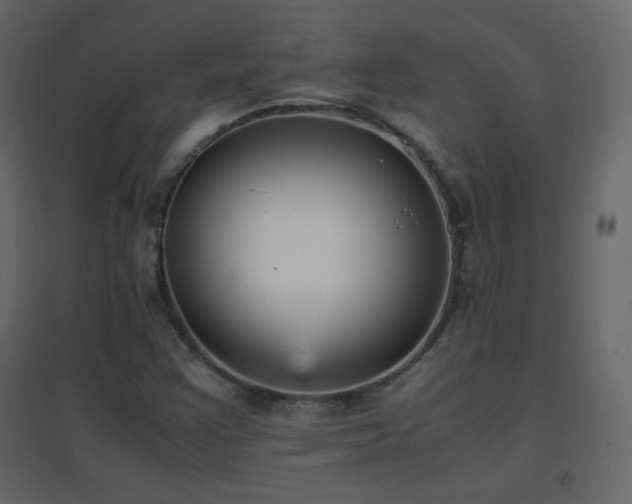 X0000096651355200802051145