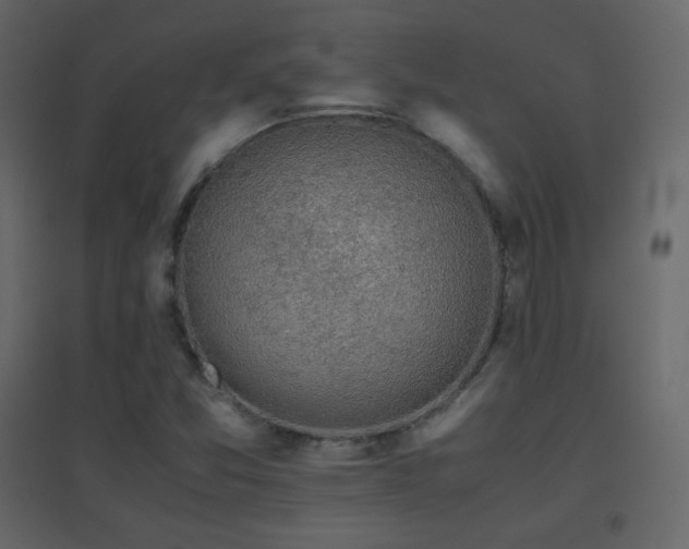 X0000096651357200802051145