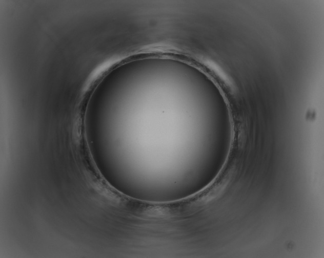 X0000096651358200802051145