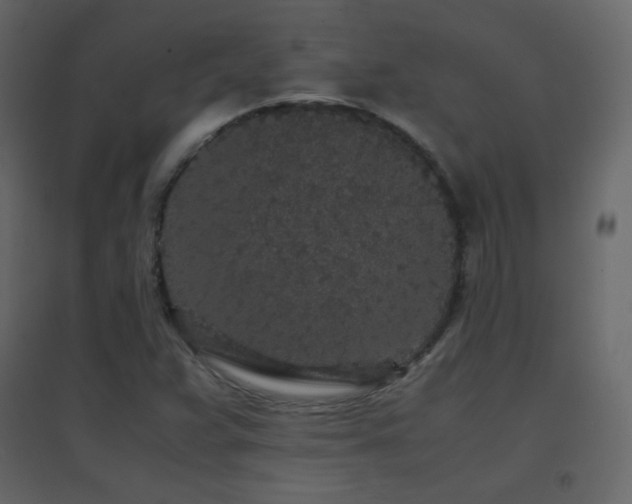 X0000096651359200802051145