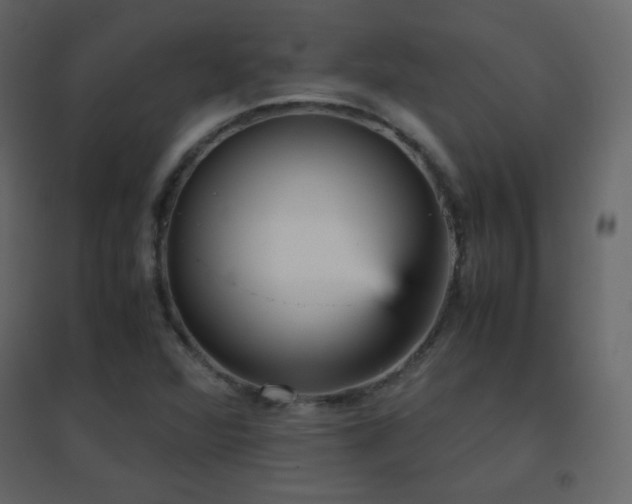 X0000096651360200802051145