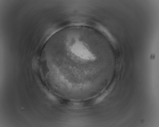 X0000096651361200802051145