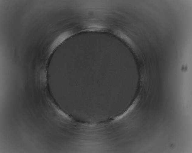 X0000096651362200802051145