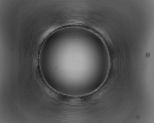 X0000096651363200802051145