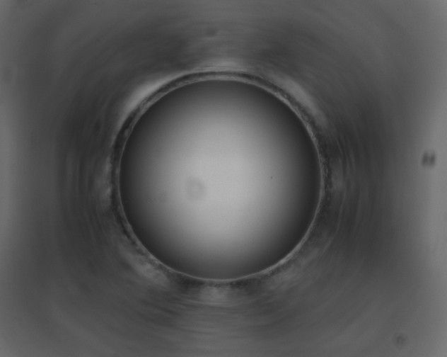 X0000096651364200802051145