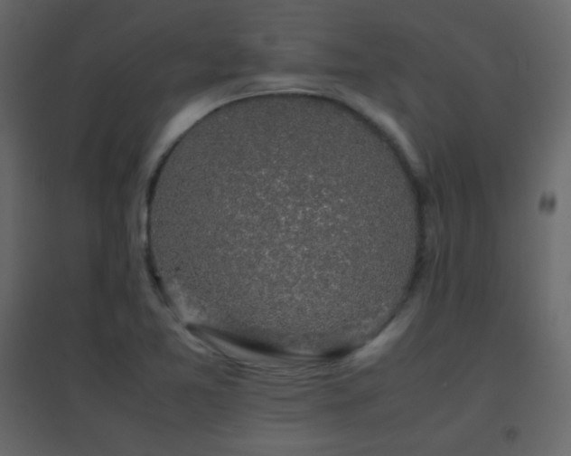 X0000096651365200802051145