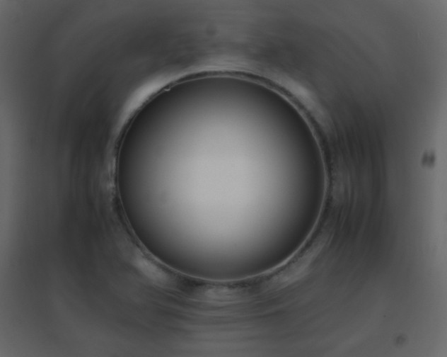 X0000096651366200802051145