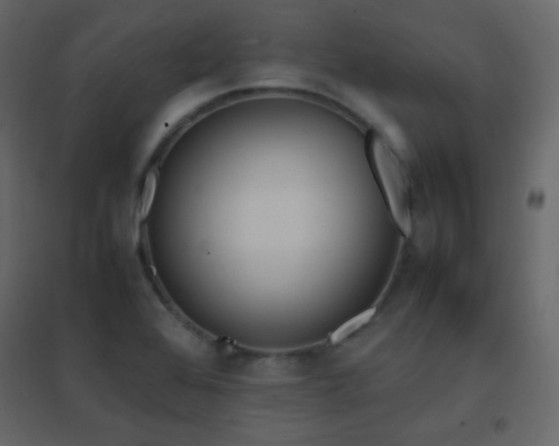X0000096651368200802051145