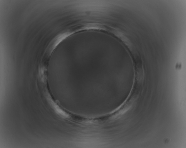 X0000096651369200802051145