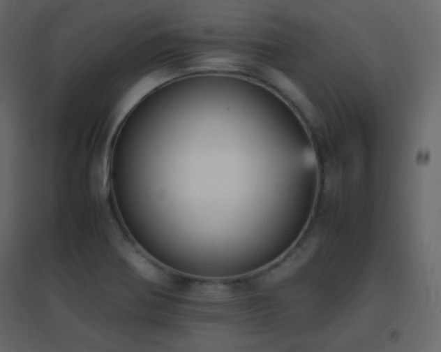 X0000096651370200802051145