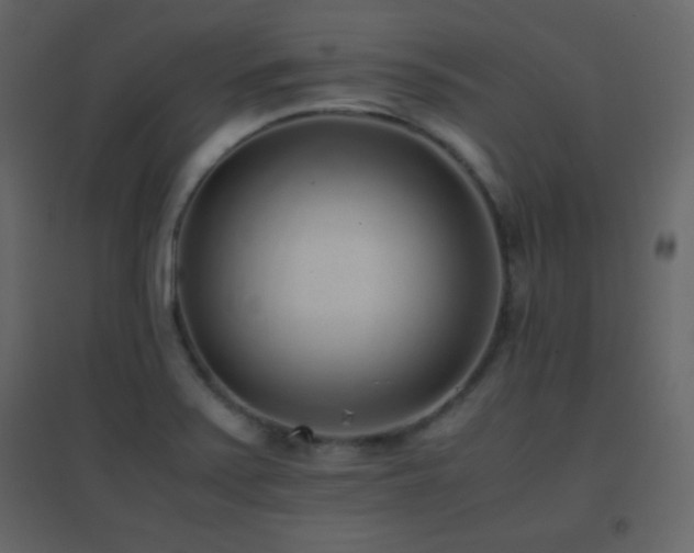X0000096651371200802051145