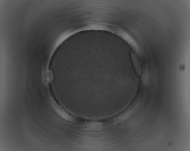 X0000096651372200802051145