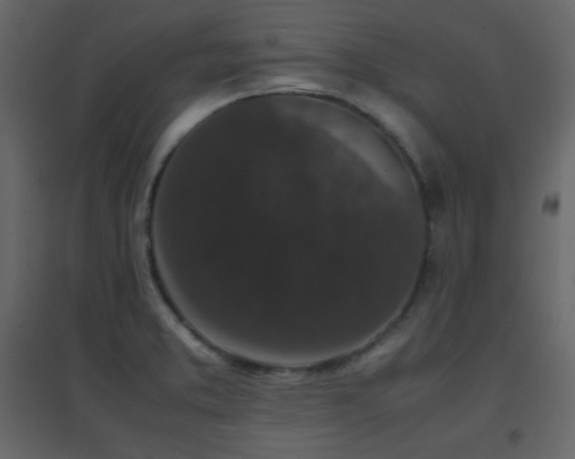 X0000096651373200802051145