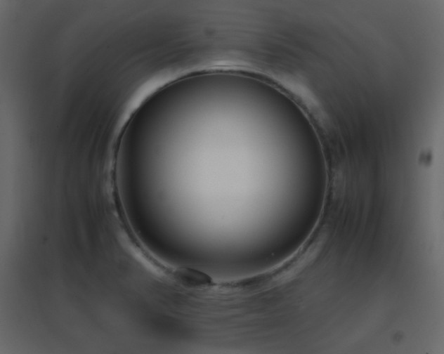 X0000096651374200802051145