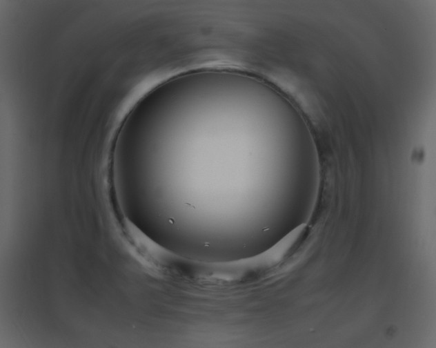 X0000096651375200802051145