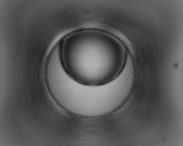 X0000096651376200802051145