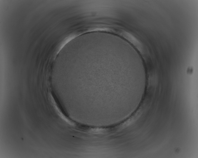X0000096651377200802051145