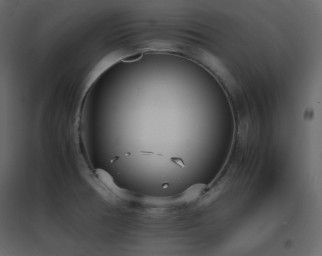X0000096651378200802051145