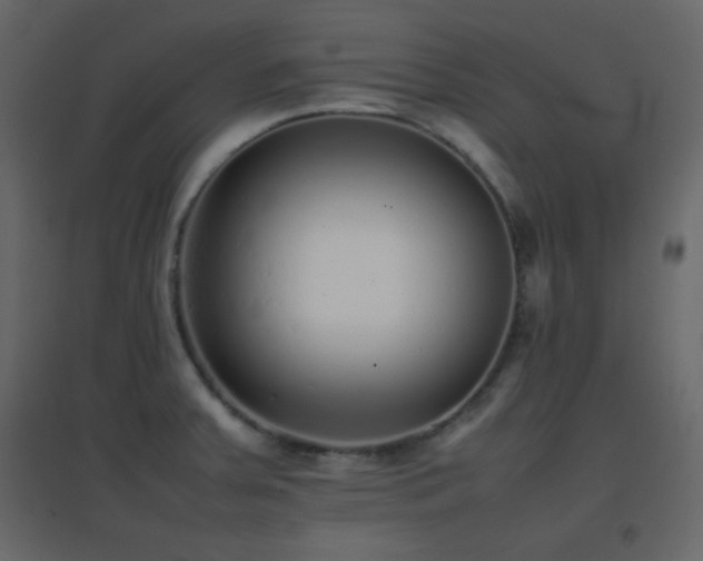 X0000096651379200802051145