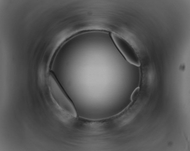 X0000096651380200802051145