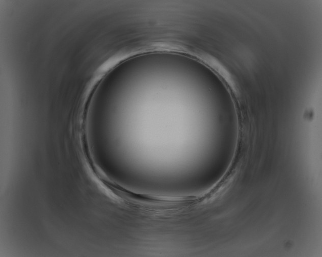 X0000096651381200802051145
