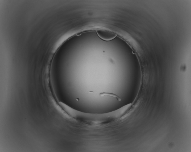 X0000096651382200802051144