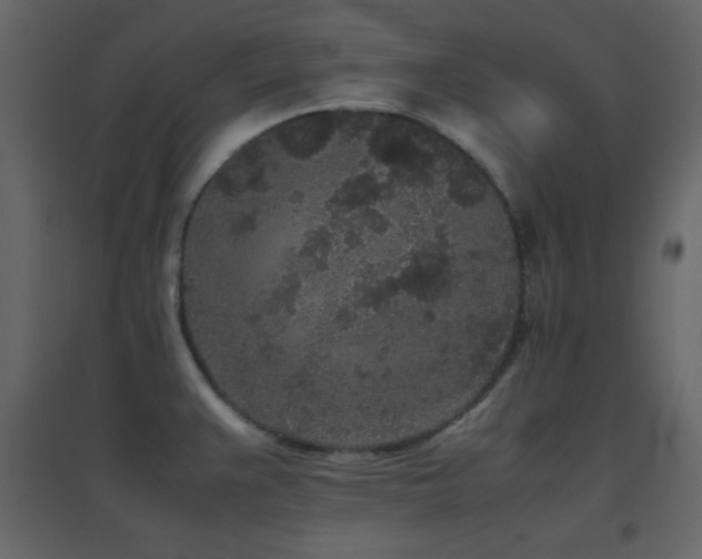 X0000096651383200802051144