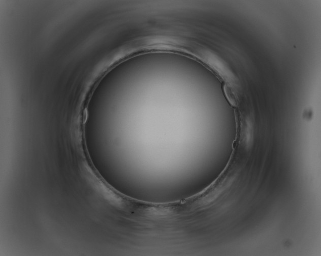 X0000096651384200802051144