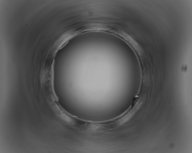 X0000096651385200802051144