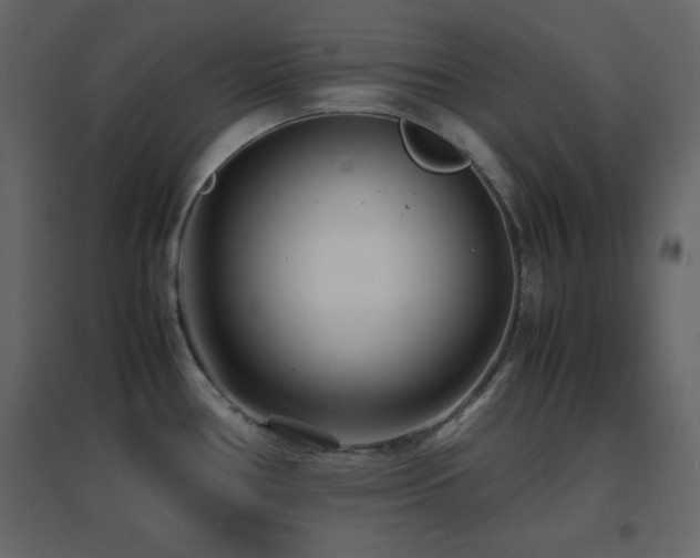 X0000096651386200802051144