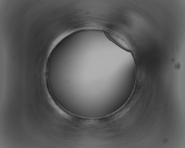 X0000096651387200802051144
