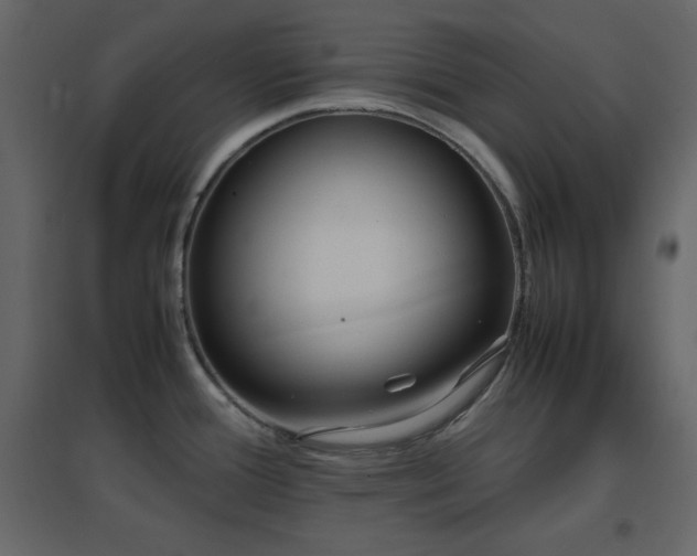 X0000096651388200802051144