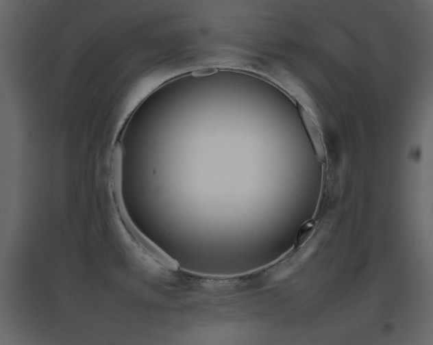 X0000096651389200802051144