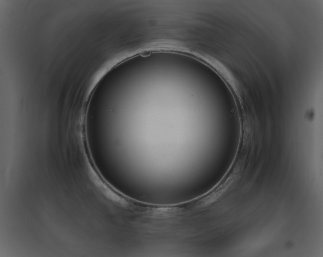 X0000096651390200802051144