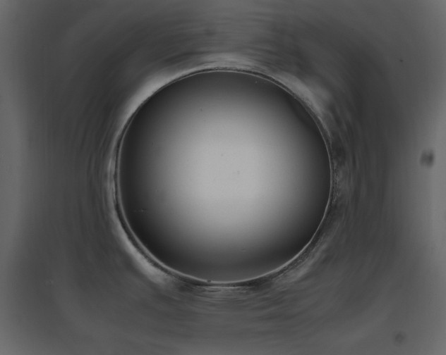 X0000096651391200802051144