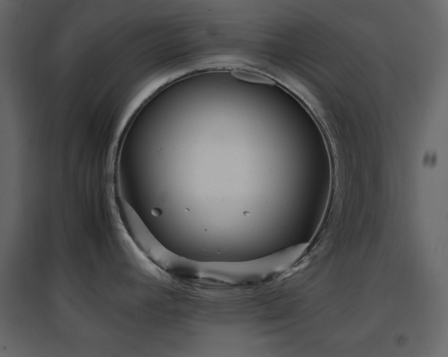 X0000096651392200802051144