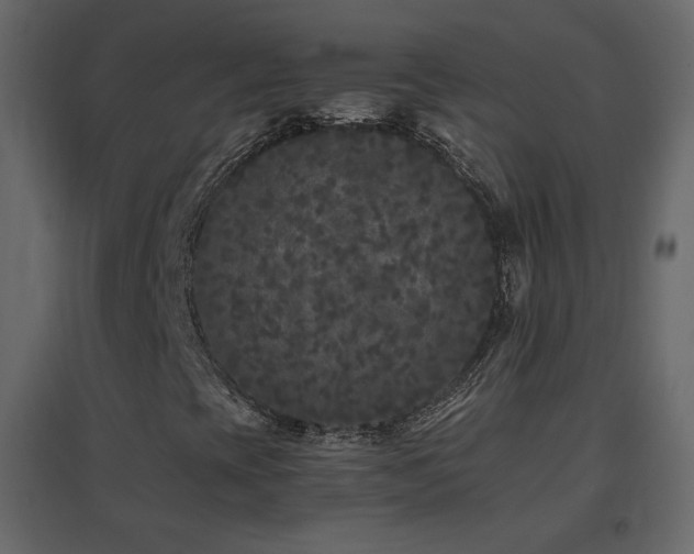 X0000096651393200802051144