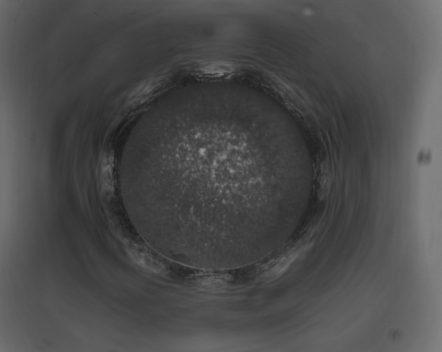 X0000096651394200802051144