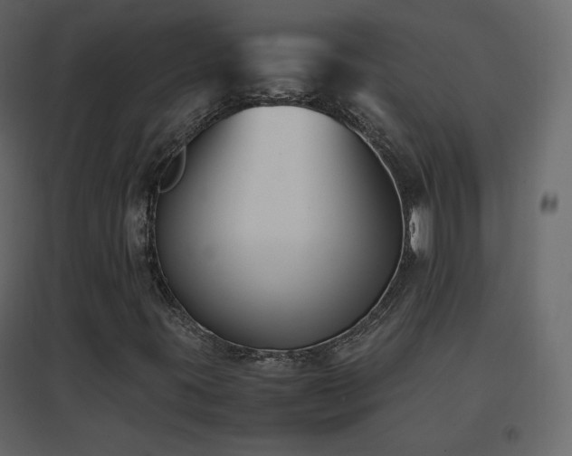 X0000096651395200802051144