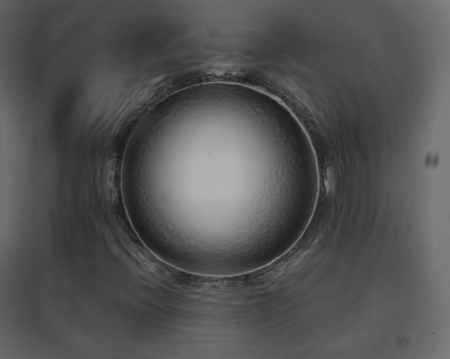 X0000096651396200802051144