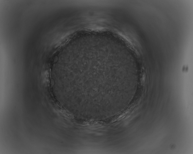 X0000096651397200802051144