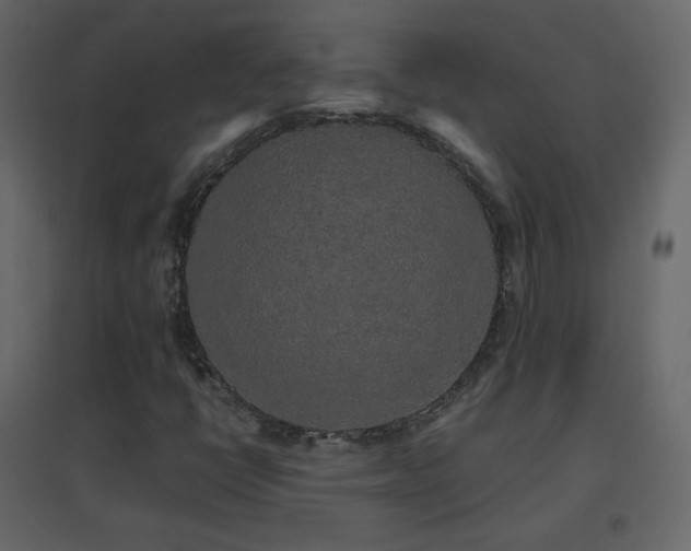 X0000096651398200802051144