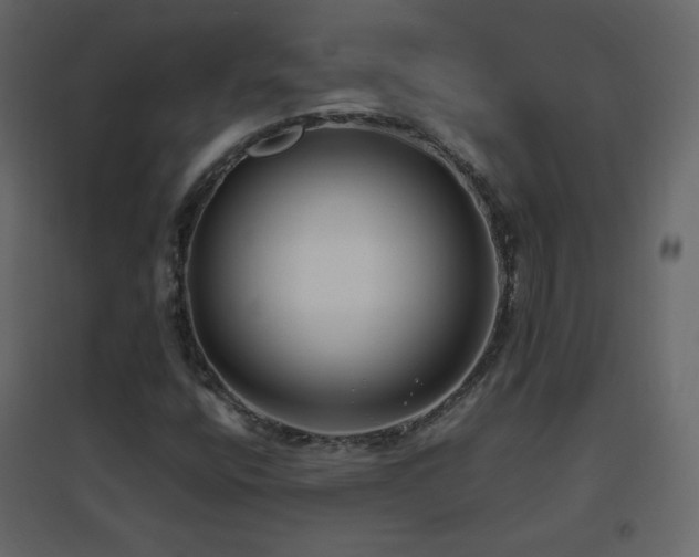 X0000096651400200802051144