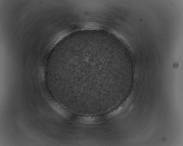 X0000096651401200802051144