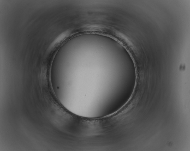 X0000096651403200802051144