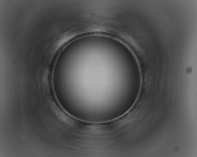 X0000096651404200802051144