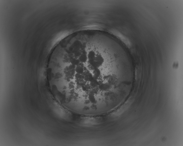 X0000096651405200802051144
