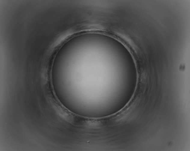 X0000096651407200802051144