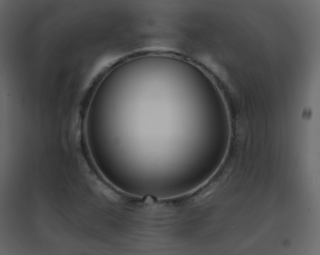 X0000096651408200802051144