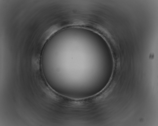 X0000096651409200802051144